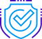 security-shield-icon