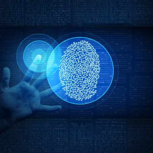 Network   Segmentation